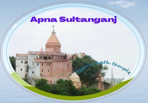 Logo for Apna sultanganj